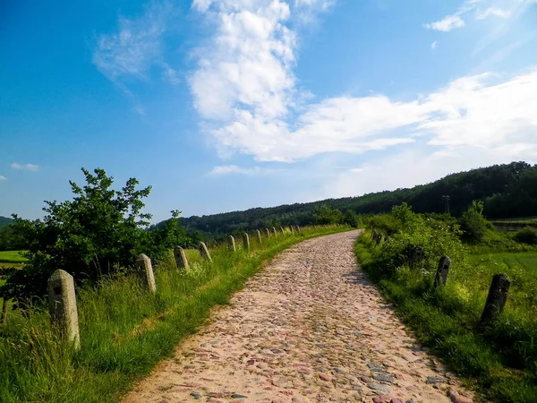 Wiezyca, Polonya 'daki tarlaların içinden. Kashubia doğası - Kuzey Polonya 'nın güzel bölgesi.