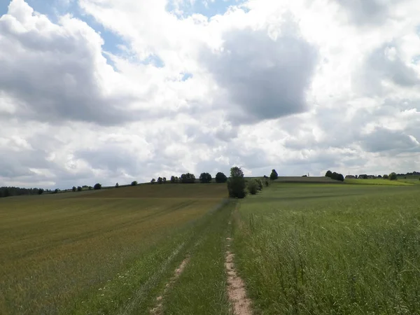 Landweg Kasjoebische Weiden Offroad Kashubia Polen — Stockfoto