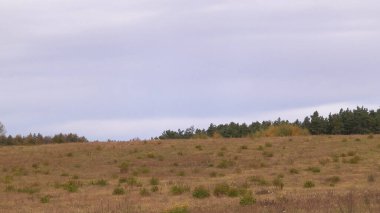 Bulutlu bir günde sonbahar tarlası. Pomerania, Polonya doğası. Bulutlu gökyüzünde uzayı kopyala.