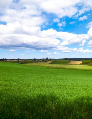 Kashubia bölgesindeki yeşil alanlar, Kuzey Polonya. Bulutlu bir gün, seyahat ve doğa konsepti.