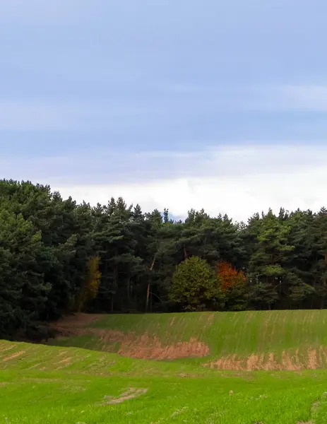 Green Field Hills Nature Northern Poland Travel Nature Concept — Stock Photo, Image