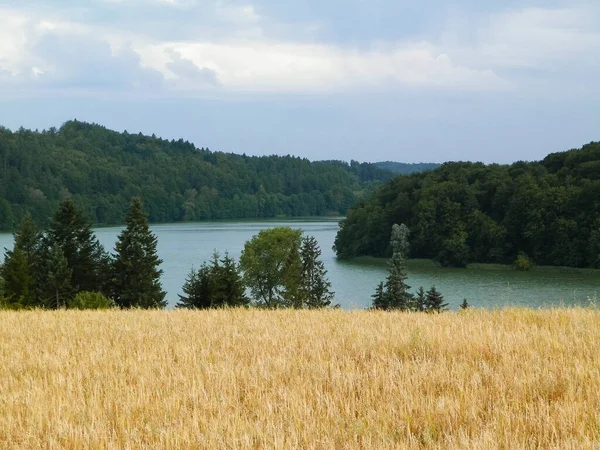 Yulaf Tarlası Manzarası Ostrzyckie Gölü Wiezyca Kashubian Bölgesi Polonya Doğa — Stok fotoğraf
