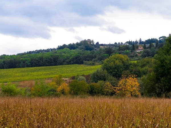 Jesień Włoszech Toskańskie Pola Wzgórza Pochmurny Dzień Kopiuj Przestrzeń Zachmurzonym — Zdjęcie stockowe