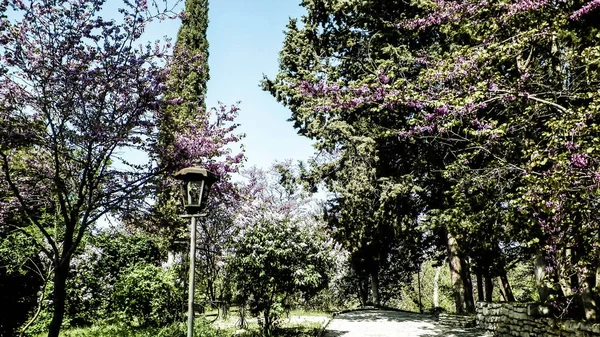 Alley Balchik Palace Tuinen Ook Bekend Als Queen Mary Park — Stockfoto