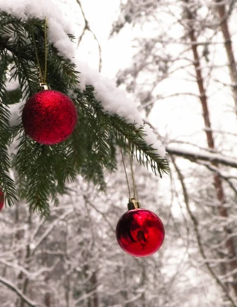 冬の森の中で赤いクリスマスボールを閉じます クリスマスカードコピースペース — ストック写真