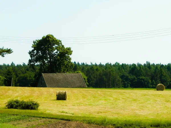 Des Gerbes Foin Sur Prairie Sur Village Kachoube Nature Agriculture — Photo