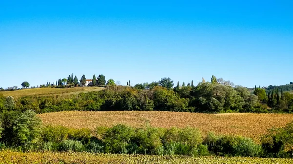 Colline Campi Prati Vedute Tipiche Della Toscana Viaggio Natura Agricoltura — Foto Stock