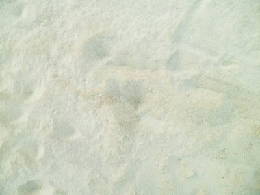 Doğa olarak çöl kumu. Boşluğu kopyala.