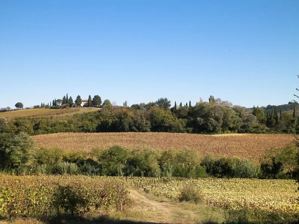 牧草地 トスカーナの典型的な景色 自然と農業の概念 イタリアでの休暇 スペースのコピー — ストック写真