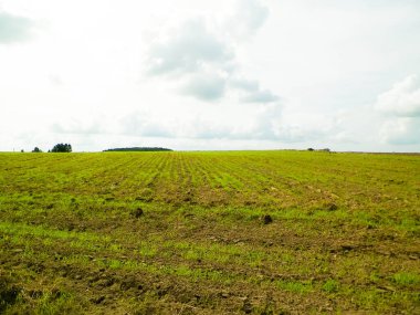 Kashubian kırsalının manzarası. Kuzey Polonya 'nın doğası ve tarım kavramı. Bulutlu gökyüzünde uzayı kopyala.