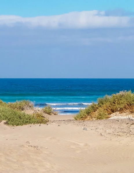 Caleta de Famara 'daki Plaj ve Atlantik Okyanusu, Lanzarote Kanarya Adaları. Caleta de Famara 'daki plaj sörfçüler arasında çok popülerdir. Boşluğu kopyala.
