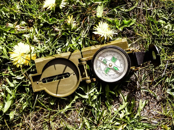 Çimlerde pusula - seyahat, keşif ve seyrüsefer kavramı.