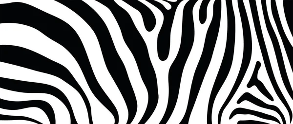 Kusursuz soyut vektör arkaplan tasarımı, zebra çizgili iz biçiminin Afrika vahşi yaşam hayvan dokusuna dayanmaktadır.