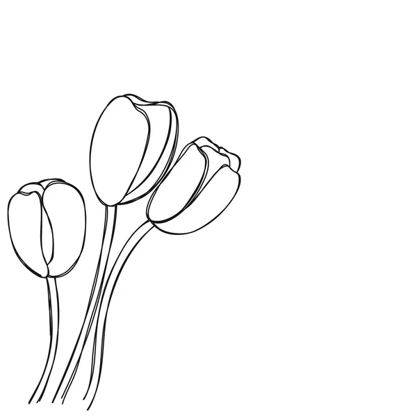 Tulip bloem hand getekend achtergrond vector — Stockvector