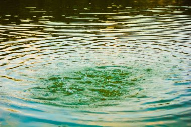 renk arka plan su yüzeyi ile