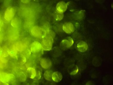 çok renkli jantlar ile ilginç renkli soyutlayıcı arka plan