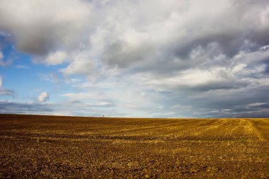 güzel bir gökyüzü, bir av yeri ve kuşlar olan bir alana