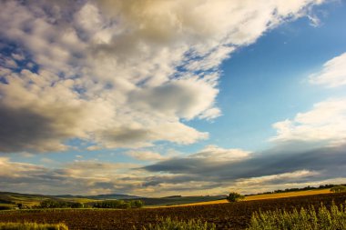 güzel bir gökyüzü, bir av yeri ve kuşlar olan bir alana