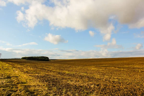A field with a beautiful sky, a hunting place, and birds — Stock Photo, Image