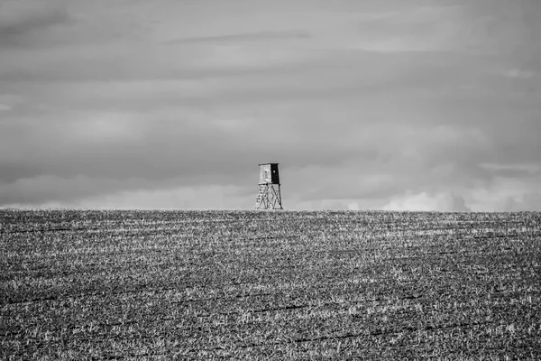 Ein Feld mit schönem Himmel, ein Jagdrevier und Vögel — Stockfoto