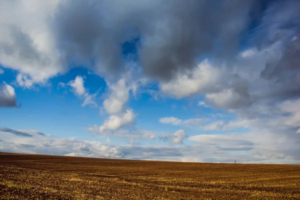 Um campo com um céu bonito, um lugar de caça, e pássaros — Fotografia de Stock