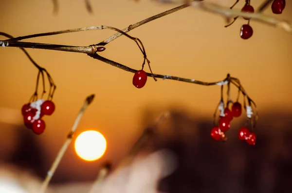 Paesaggio invernale con ricchi fiocchi di neve e freccette rosse — Foto Stock