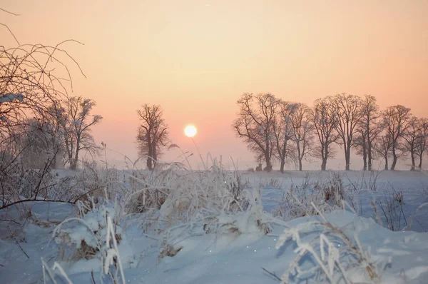 Paisagem de inverno com um floco de neve rico — Fotografia de Stock