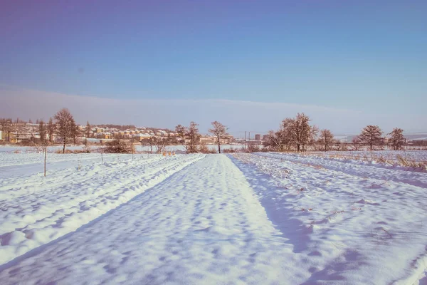 Paisagem de inverno com um floco de neve rico — Fotografia de Stock