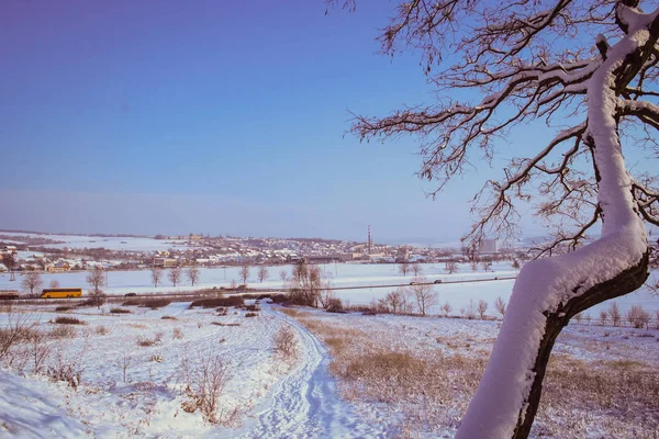 冬季景观与丰富的雪花 — 图库照片