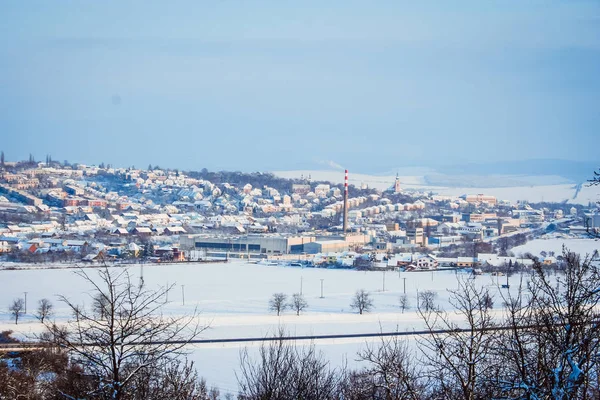 Paisagem de inverno com um floco de neve rico — Fotografia de Stock