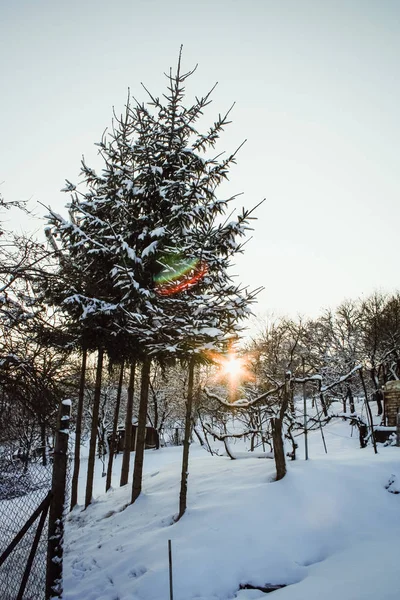 Paesaggio invernale con un ricco fiocco di neve — Foto Stock