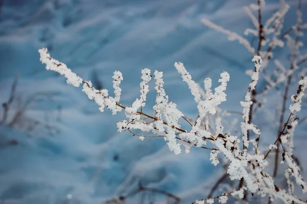 Paesaggio invernale con un ricco fiocco di neve — Foto Stock