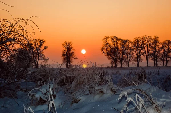 Paesaggio invernale con un ricco fiocco di neve — Foto Stock