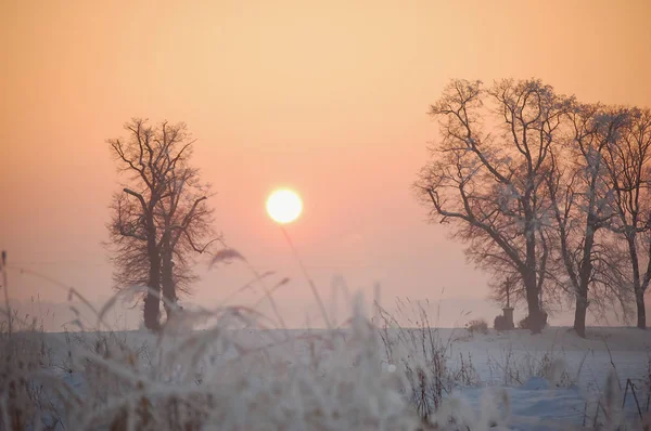 Paesaggio invernale con un ricco fiocco di neve — Foto Stock