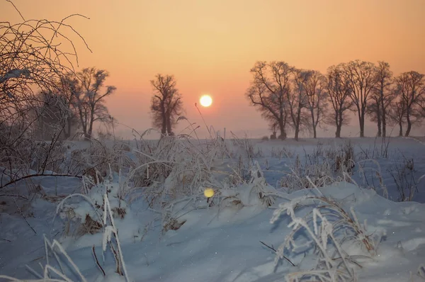 Paesaggio invernale con un ricco fiocco di neve Foto Stock Royalty Free