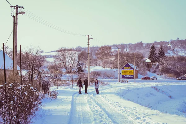 Paisagem de inverno com um floco de neve rico — Fotografia de Stock