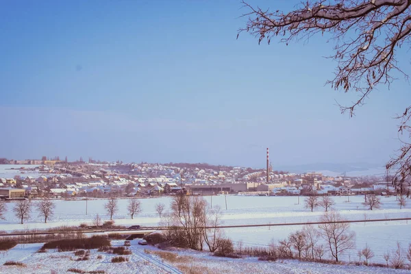 Zimní krajina s bohatou vločka — Stock fotografie