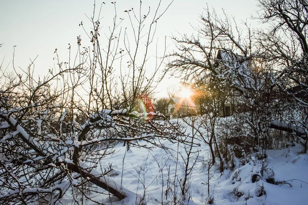 Χειμερινό τοπίο με μια πλούσια νιφάδα χιονιού — Φωτογραφία Αρχείου