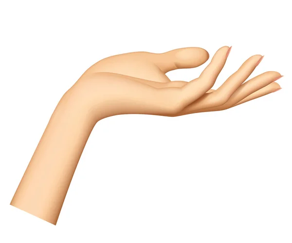 Main de femme isolée sur fond blanc — Image vectorielle