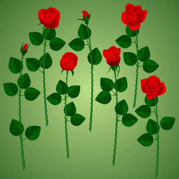 Σετ κόκκινα τριαντάφυλλα σε πράσινο φόντο — Διανυσματικό Αρχείο