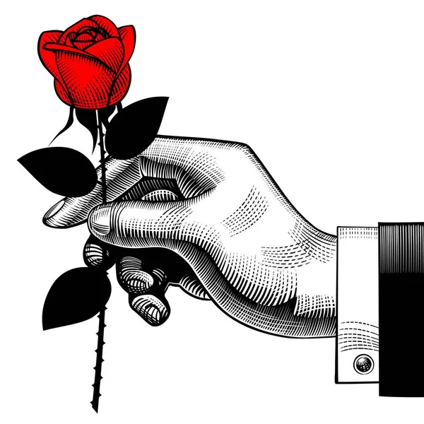 复古雕刻一朵红玫瑰的手绘图 — 图库矢量图片