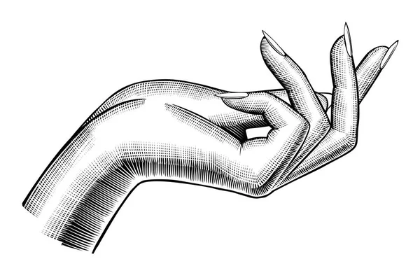 女性の手のヴィンテージを描画 — ストックベクタ