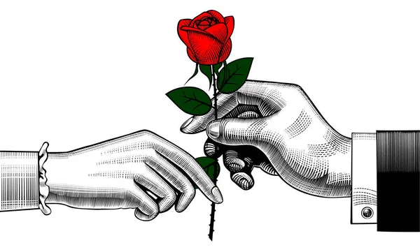 La mano del hombre da una rosa roja a la mujer — Vector de stock