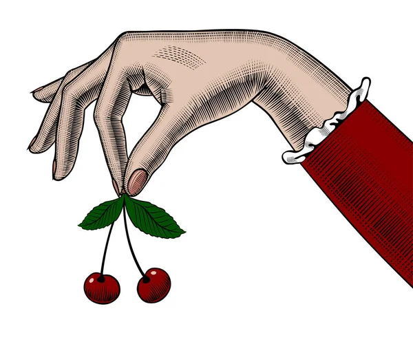 Woman's hand holding cherries in her fingers — Stock Vector