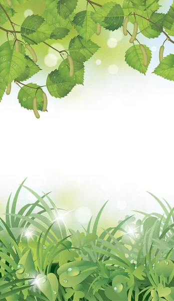 자작나무 봄 햇볕에 쬐 인 잎 및 잔디 덮여 세로 프레임 — 스톡 벡터