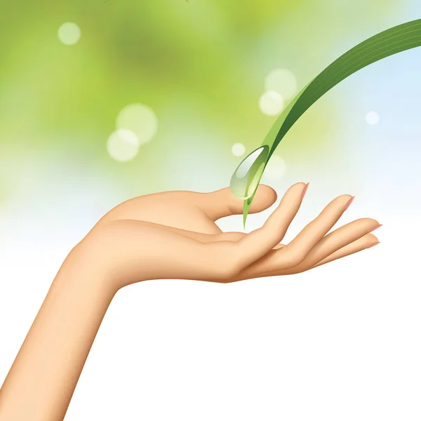 Vrouw hand onder water drop stroomt beneden het groene blad — Stockvector