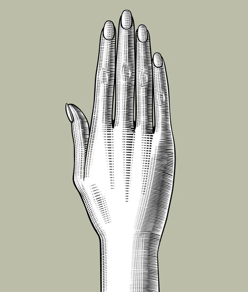 La mano de la mujer estirada hacia arriba — Vector de stock