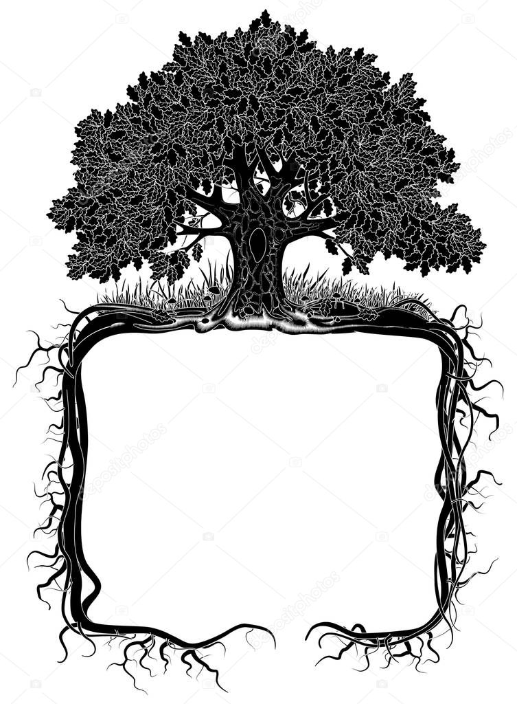 Oak tree with roots frame