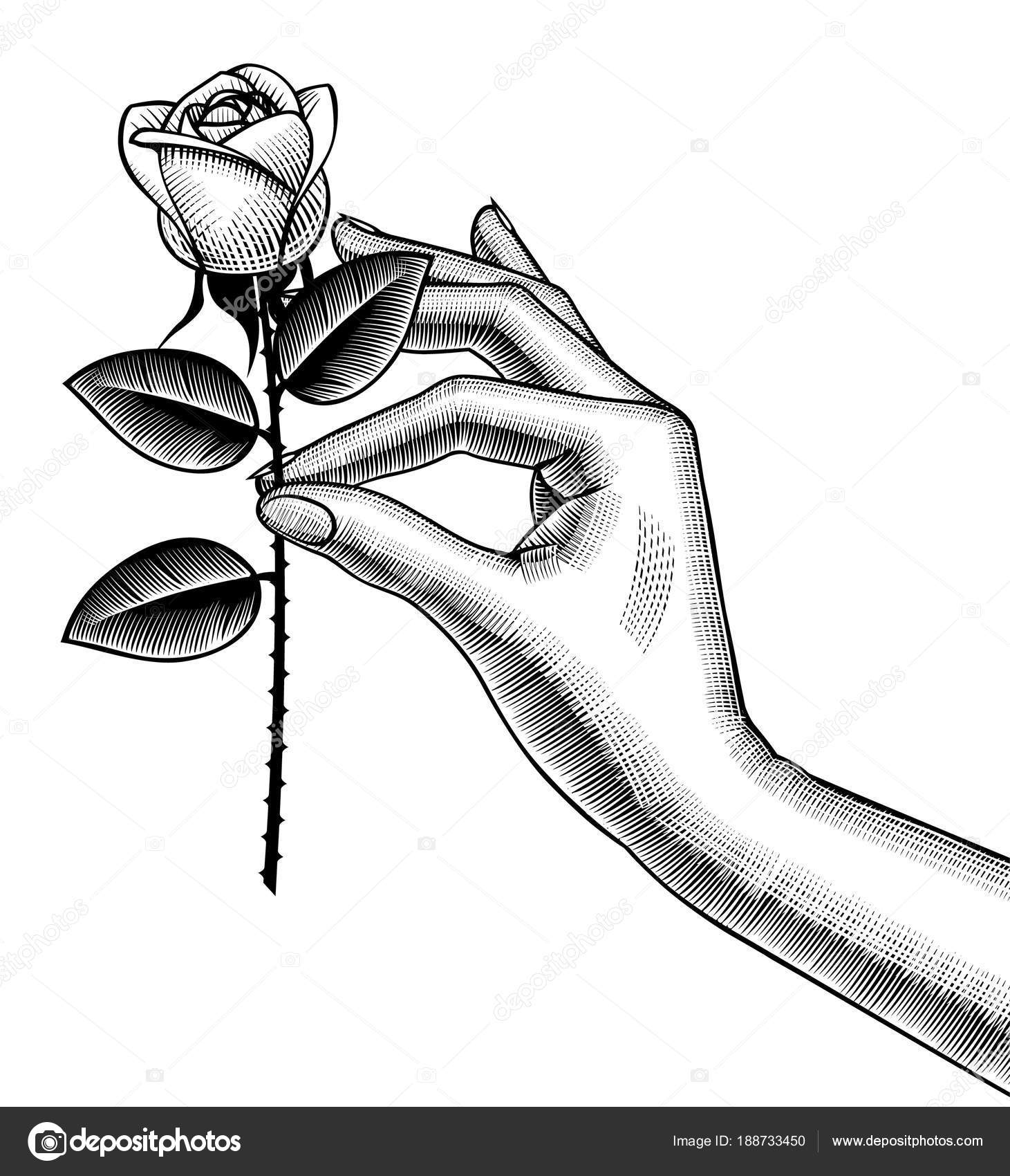 Dessin Rose Blanche 1001 + modèles et conseils pour apprendre comment