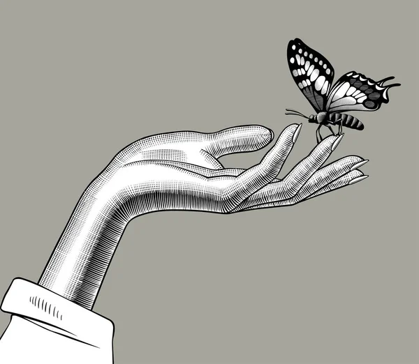 Mão de mulher com uma borboleta sentada em seus dedos —  Vetores de Stock